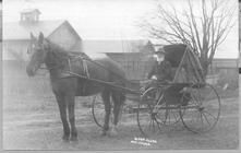 SA0090 - "Elder Clark & Major." Major is a horse; he is shown pulling a buggy in which is George Clark. Buildings, including a barn, and a cow are in the background.